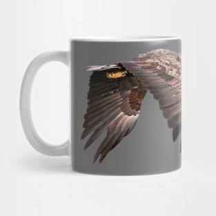 White tailed Eagle Mug